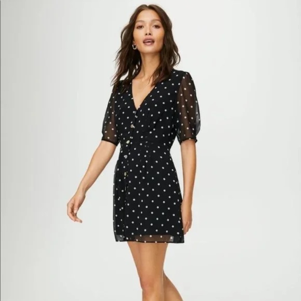 Aritzia Wilfred Button Front Mini Dress